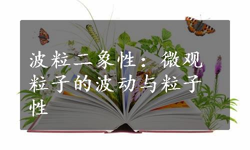 波粒二象性：微观粒子的波动与粒子性