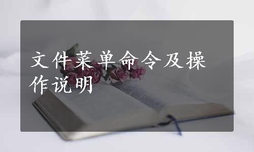 文件菜单命令及操作说明