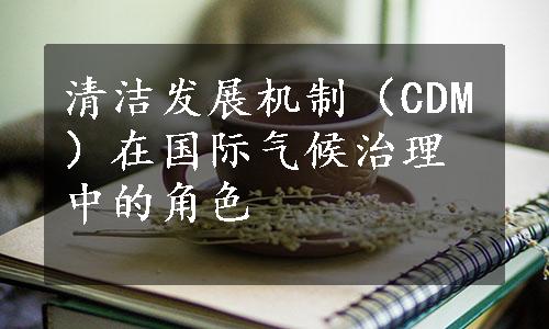 清洁发展机制（CDM）在国际气候治理中的角色