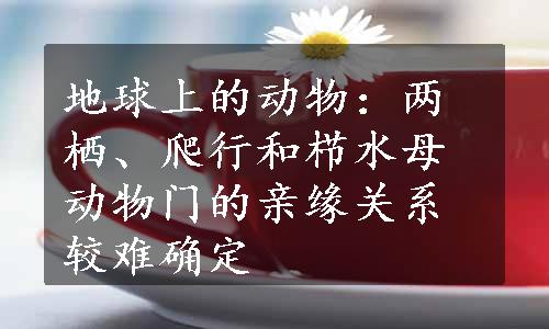 地球上的动物：两栖、爬行和栉水母动物门的亲缘关系较难确定