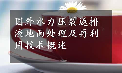 国外水力压裂返排液地面处理及再利用技术概述