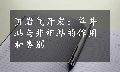 页岩气开发：单井站与井组站的作用和类别