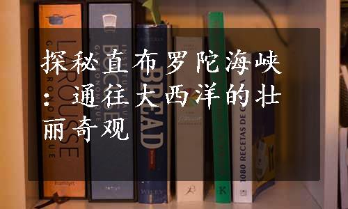 探秘直布罗陀海峡：通往大西洋的壮丽奇观