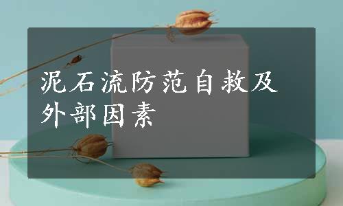 泥石流防范自救及外部因素