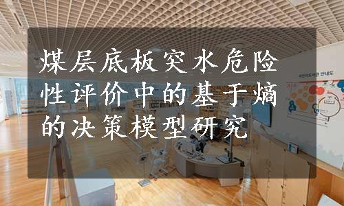 煤层底板突水危险性评价中的基于熵的决策模型研究