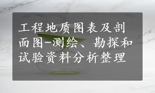 工程地质图表及剖面图-测绘、勘探和试验资料分析整理