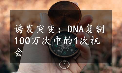 诱发突变：DNA复制100万次中的1次机会