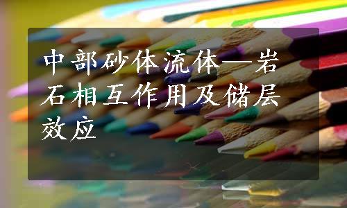 中部砂体流体—岩石相互作用及储层效应