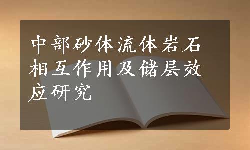 中部砂体流体岩石相互作用及储层效应研究