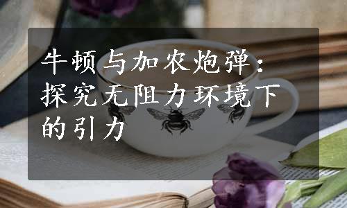 牛顿与加农炮弹：探究无阻力环境下的引力