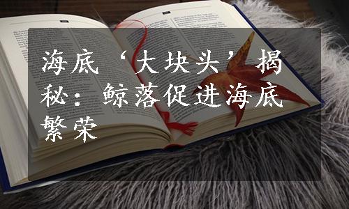 海底‘大块头’揭秘：鲸落促进海底繁荣