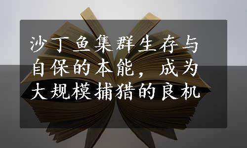 沙丁鱼集群生存与自保的本能，成为大规模捕猎的良机