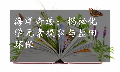 海洋奇迹：揭秘化学元素提取与盐田环保