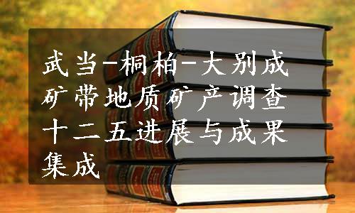 武当-桐柏-大别成矿带地质矿产调查十二五进展与成果集成