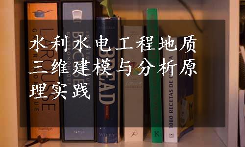 水利水电工程地质三维建模与分析原理实践