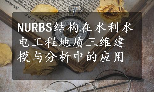 NURBS结构在水利水电工程地质三维建模与分析中的应用