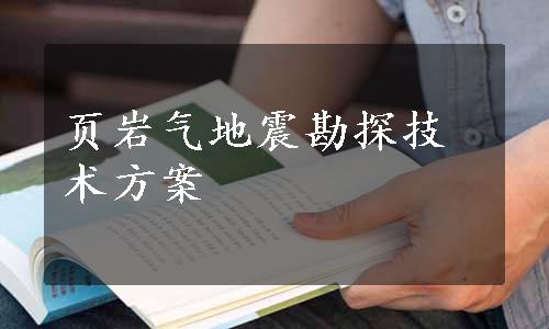 页岩气地震勘探技术方案