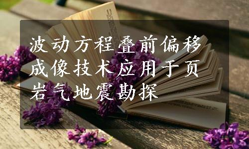 波动方程叠前偏移成像技术应用于页岩气地震勘探