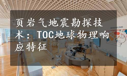 页岩气地震勘探技术：TOC地球物理响应特征