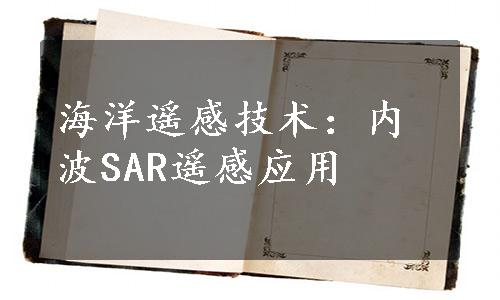 海洋遥感技术：内波SAR遥感应用