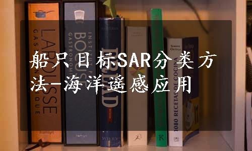 船只目标SAR分类方法-海洋遥感应用