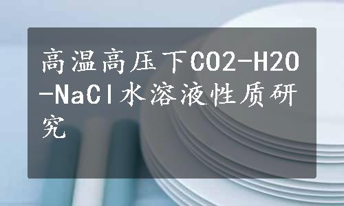 高温高压下CO2-H2O-NaCl水溶液性质研究