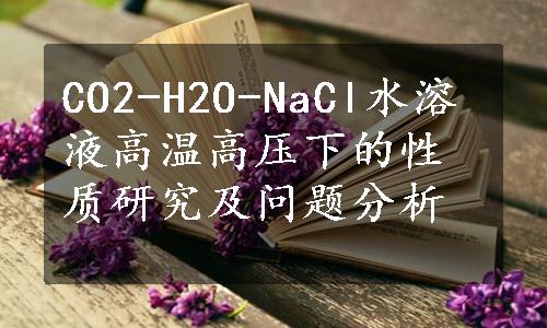 CO2-H2O-NaCl水溶液高温高压下的性质研究及问题分析