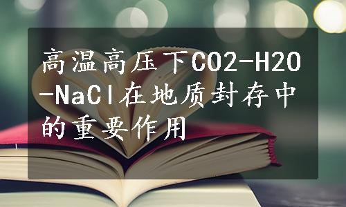 高温高压下CO2-H2O-NaCl在地质封存中的重要作用