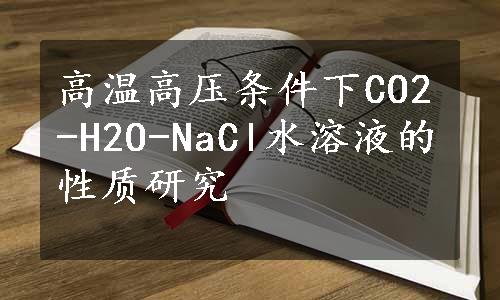 高温高压条件下CO2-H2O-NaCl水溶液的性质研究