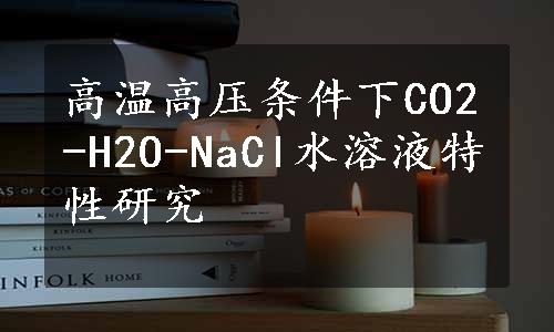 高温高压条件下CO2-H2O-NaCl水溶液特性研究