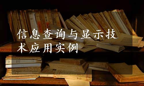 信息查询与显示技术应用实例