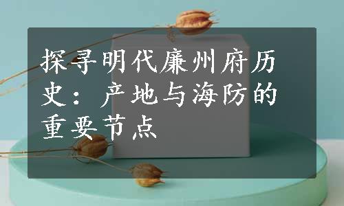 探寻明代廉州府历史：产地与海防的重要节点