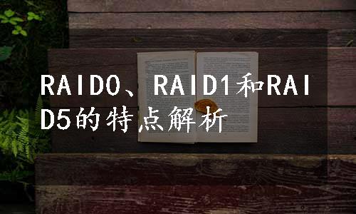 RAID0、RAID1和RAID5的特点解析