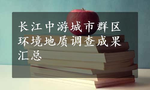 长江中游城市群区环境地质调查成果汇总