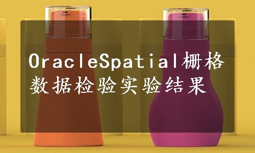 OracleSpatial栅格数据检验实验结果