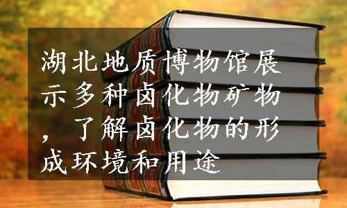 湖北地质博物馆展示多种卤化物矿物，了解卤化物的形成环境和用途