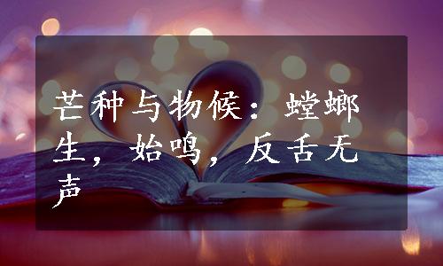 芒种与物候：螳螂生，始鸣，反舌无声