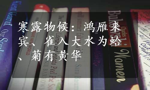 寒露物候：鸿雁来宾、雀入大水为蛤、菊有黄华