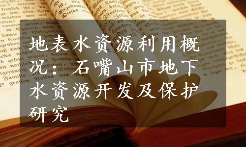 地表水资源利用概况：石嘴山市地下水资源开发及保护研究