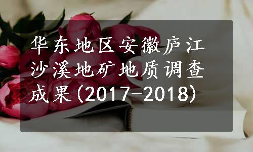 华东地区安徽庐江沙溪地矿地质调查成果(2017-2018)