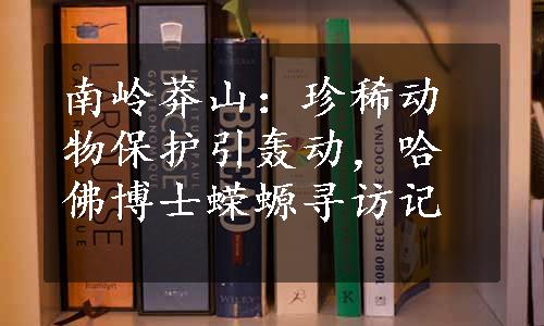 南岭莽山：珍稀动物保护引轰动，哈佛博士蝾螈寻访记