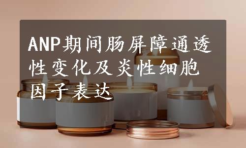 ANP期间肠屏障通透性变化及炎性细胞因子表达