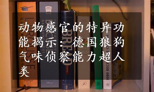 动物感官的特异功能揭示：德国狼狗气味侦察能力超人类