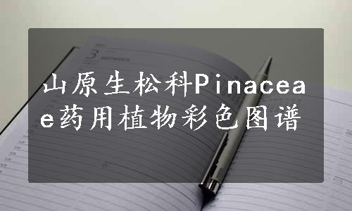 山原生松科Pinaceae药用植物彩色图谱