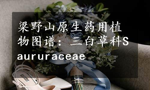 梁野山原生药用植物图谱：三白草科Saururaceae