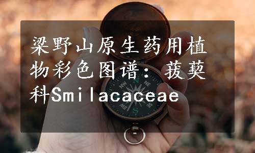 梁野山原生药用植物彩色图谱：菝葜科Smilacaceae