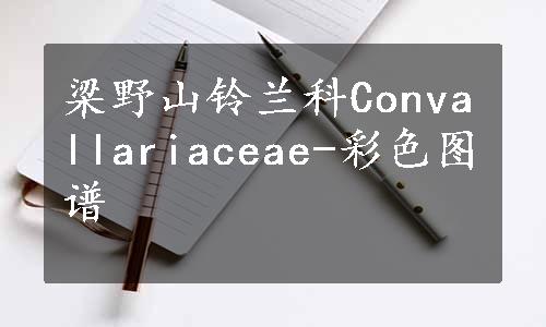 梁野山铃兰科Convallariaceae-彩色图谱