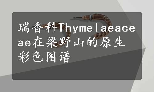 瑞香科Thymelaeaceae在梁野山的原生彩色图谱