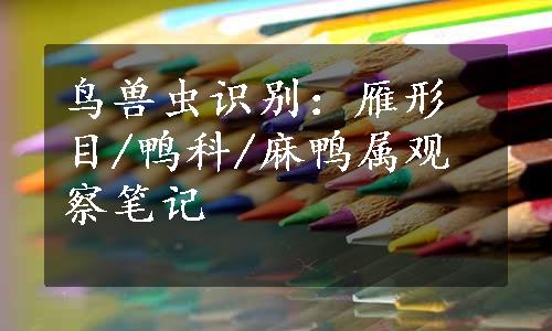 鸟兽虫识别：雁形目/鸭科/麻鸭属观察笔记