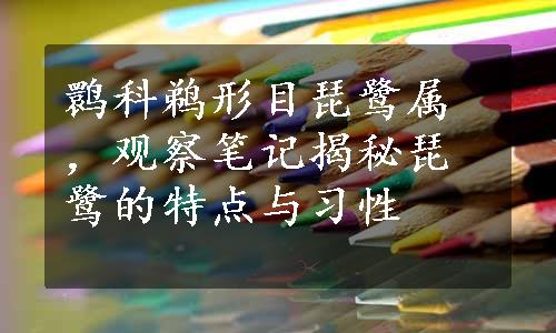 鹮科鹈形目琵鹭属，观察笔记揭秘琵鹭的特点与习性